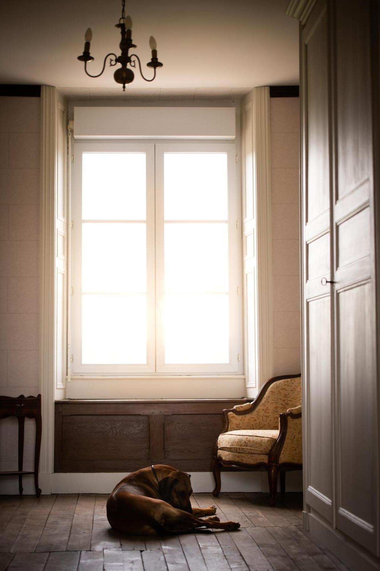 Domaine De La Briouse Bed and Breakfast Sanxay Εξωτερικό φωτογραφία