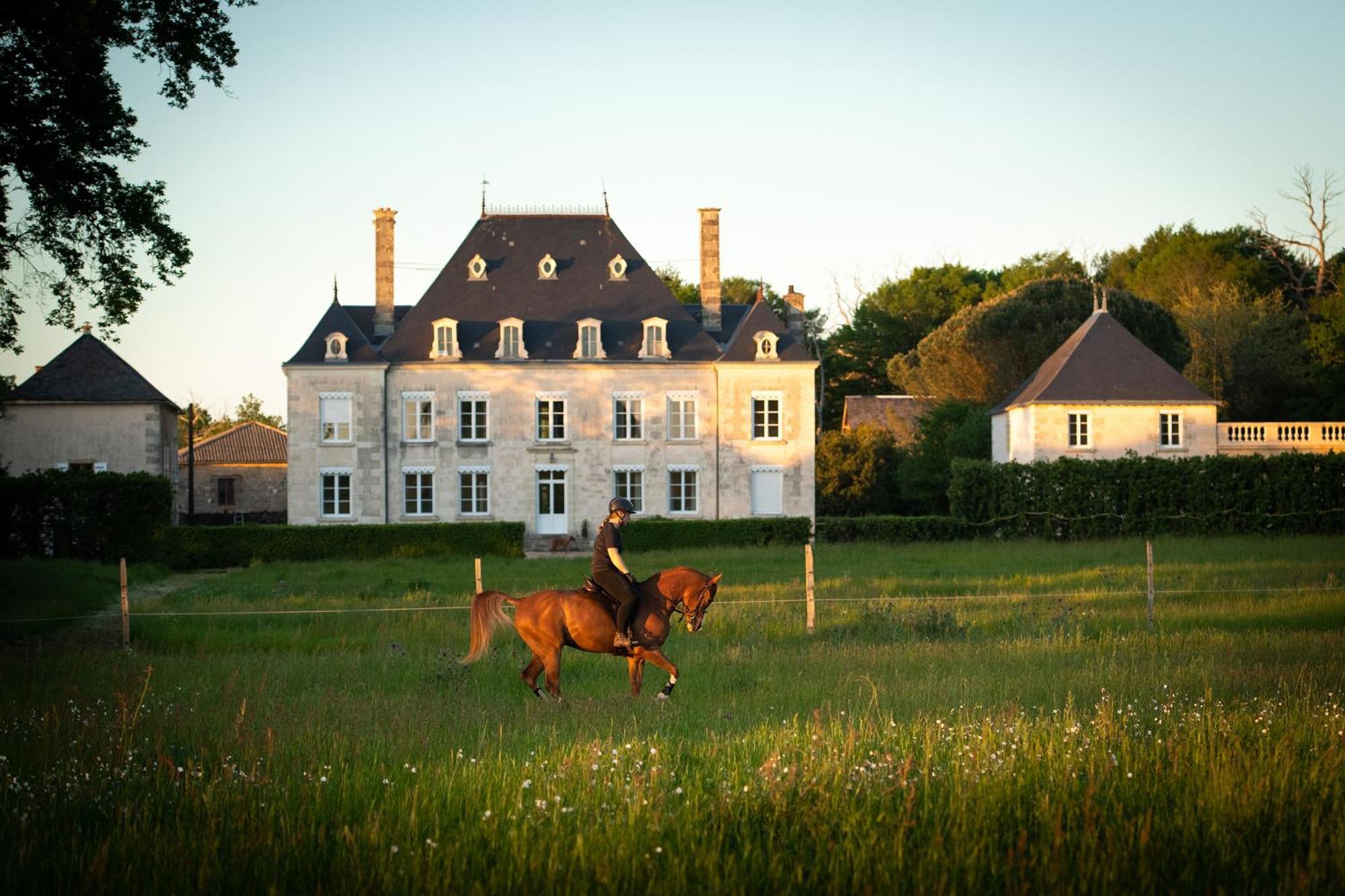 Domaine De La Briouse Bed and Breakfast Sanxay Εξωτερικό φωτογραφία
